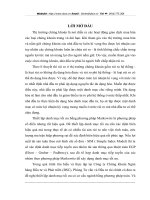 Kết hợp mô hình SIM và phương pháp Markowitz xây dựng danh mục đầu tư tối ưu  có cơ cấu ngành