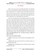 một số biện pháp đề phòng rủi ro hối đoái tại công ty cổ phần dược phẩm Thiên Thảo