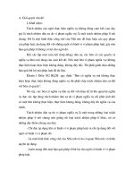 trách nhiệm dân sự