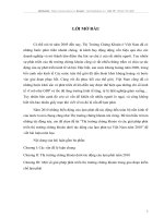 Thị trường chứng khoán và các giải pháp phát triển thị trường chứng khoán dưới tác động của lạm phát tại Việt Nam năm 2010
