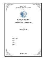 Bài tập học kỳ - Môn Luật Lao động