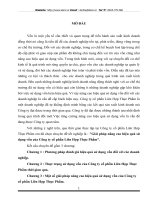 Giải pháp nâng cao hiệu quả sử dụng vốn của Công ty cổ phần Liên Hợp Thực Phẩm