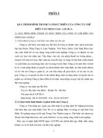 công ty chế biến ván nhân tạo - Licola