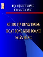 Rủi ro tín dụng trong hoạt động kinh doanh ngân hàng
