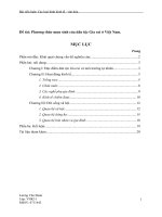 Phương thức mưu sinh của dân tộc Gia rai ở Việt Nam