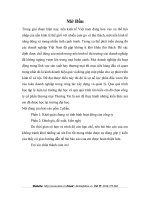 Khái Quát Chung về Công Ty Cổ Phần Thương Mại Thường Tín