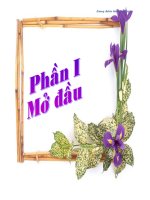 Làm thế nào để vận dụng và thiết kế trao đổi học tập Tiếng Việt 5 một cách hiệu quả