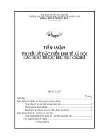 đặc điểm kinh tế xã hội các nước thuộc khu vực Caribê