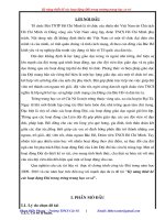 Kỹ năng thiết kế các hoạt động Đội trong trường Trung học cơ sở