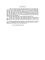 Tính toán thiết kế chế tạo mũi khoan đập xoay