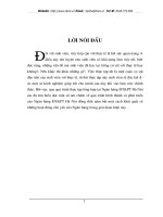 sự phát triển của chi nhánh ngân hàng đầu tư và phát triển Hà Nội