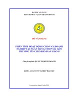 PHÂN TÍCH HOẠT ĐỘNG CHO VAY DOANH NGHIỆP TẠI NGÂN HÀNG TMCP SÀI GÒN THƯƠNG TÍN CHI NHÁNH AN GIANG