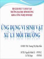 ứng dụng vi sinh vật xử lý môi trường