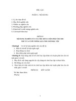 NỘI DUNG NGHIÊN CỨU CỦA VIỆC RÈN LUYỆN PHÁT ÂM CHO TRẺ TƯ 3-4 TUỔI THÔNG QUA TRÒ CHƠI HỌC TẬP