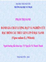 ĐÁNH GIÁ CHẤT LƯỢNG HẠT VÀ NGHIÊN CỨU ĐẶC ĐIỂM CẤU TRÚC GEN LTP Ở ĐẬU XANH