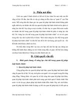 năng lực chủ thể trong quan hệ pháp luật hành chính