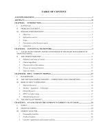 THE VIETNAM CEMENT INDUSTRY – COMPETITION AND CONSUMPTION