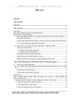 Giải pháp đẩy mạnh kinh doanh nhập khẩu thiết bị điện của công ty phát triển kỹ thuật Việt Nam