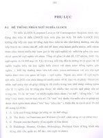 dịch tự động Anh-Việt dựa trên việc học luật chuyển đổi từ ngữ liệu song ngữ 11