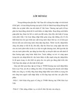 Phương hướng  phát triển hoạt động kinh doanh của công ty TNHH thương mại XNK Kim loại Việt