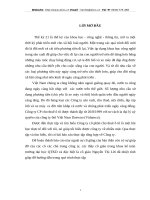 Tổng quan về công ty cỏ phần cho thuê ô tô