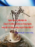 Nghiên cứu các chiến lược của Công ty Cổ phần cà phê hòa tan Trung Nguyên trong việc xây dựng và nâng cao giá trị nhãn hiệu G7