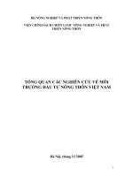 Môi trường đầu tư nông thôn Việt Nam