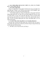 Qúa trình hình thành và phát triển của công ty cổ phần đầu tư công nghệ Việt Hà