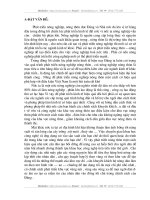 Thực trạng, phương hướng và giải pháp để phát triển kinh tế nông thôn ở Việt Nam thời kỳ quá độ