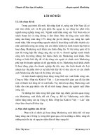 213 Marketing xuất khẩu nhóm hàng nông sản tại Công ty đầu tư hợp tác kinh tế Việt-Lào