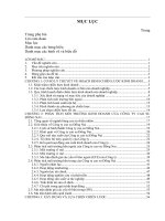 499 Xây dựng chiến lược phát triển cho Công ty Cao su Đồng Nai đến năm 2015