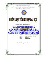 Thực trạng về hoạt động sản xuất kinh doanh của Công ty TNHH MTV Giai Mỹ