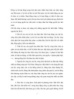 Cơ sở sử dụng quyền lực nhà nước và được đảm bảo bằng quyền lực nhà nước