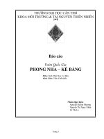 Vườn Quốc Gia PHONG NHA – KẺ BÀNG