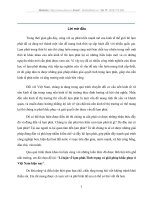 Lý luận về lạm phát. Tình trạng và giải pháp khắc phục ở Việt Nam hiện nay