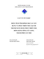 PHÂN TÍCH TÌNH HÌNH CHO VAY XÂY DỰNG VÀ PHÁT TRIỂN NHÀ TẠI CHI NHÁNH NGÂN HÀNG PHÁT TRIỂN NHÀ ĐỒNG BẰNG SÔNG CỬU LONG THÀNH PHỐ CẦN THƠ