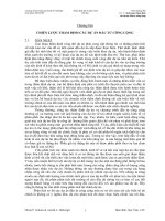 CHIẾN LƯỢC THẨM ĐỊNH CÁC DỰ ÁN ĐẦU TƯ CÔNG CỘNG