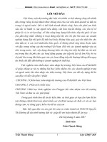 Bài học kinh nghiệm của Piaggio khi xâm nhậm vào thị trường Việt Nam và đưa ra các giải pháp