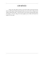 75 Đề án nghiêng cứu Marketing  một số nghiêng cứu về UPSA ở Thị trường TP. Hồ Chí Minh