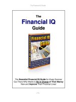 Financial IQ