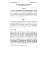 HIỆU QUẢ SẢN XUẤT SẦU RIÊNG  TẠI TỈNH TIỀN GIANG