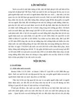 Những hạn chế cần sửa đổi bổ sung và một số ý kiến hoàn thiện về điều kiện và hệ quả pháp lý của việc nuôi con nuôi