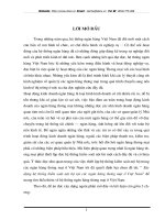 Xây dựng hệ thống kiểm soát nội bộ tại các ngân hàng thương mại Việt Nam