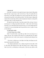 chia tài sản chung của vợ chồng trong thời kỳ hôn nhân