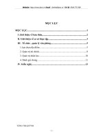 Tổ chức, quản lý văn phòng Sàn giao dịch bất động sản vinaconex_ITC