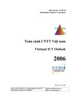 toàn cảnh CNTT Việt Nam 2006