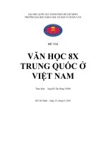 VĂN HỌC 8X TRUNG QUỐC Ở VIỆT NAM