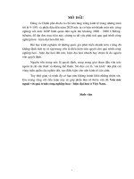 Vốn nước ngoài với quá trình công nghiệp hóa- hiện đại hóa ở VN