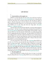 Đầu tư ra nước ngoài của Việt nam giai đoạn 1989 - 2008 trong thời gian qua, thực trạng và giải pháp