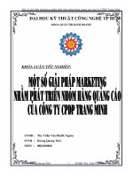 Một số giải pháp marketing nhằm phát triển nhóm hàng quảng cáo của công ty CPDP Trang Minh